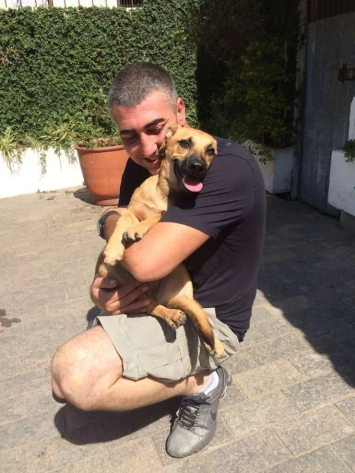 Cachorro ra a SRD idade 2 a 6 meses nome LINDINHA FILHOTE