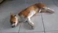 Juby