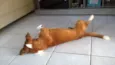 Juby