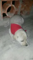 Não tem 