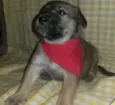 Não tem 