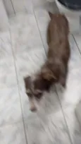 nina