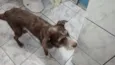 nina