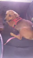 Molly