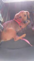 Molly
