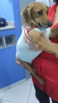 Molly