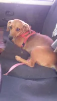 Molly