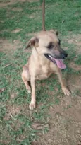 Dhara e Nick (adoçã