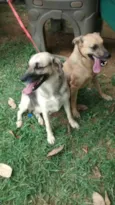 Dhara e Nick (adoçã