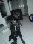 Larissa