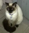 Pampinha, princesa,