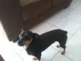  LILICA E JADE