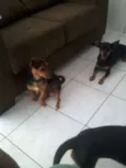  LILICA E JADE