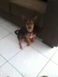  LILICA E JADE