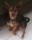  LILICA E JADE