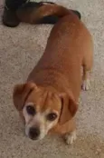 Meg