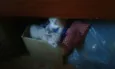 Nao tem nome