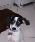 scoob