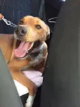 Ted