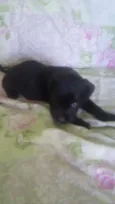 ADOTE