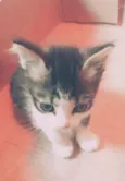 Nina 