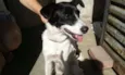Bebê