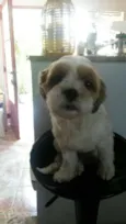Toby