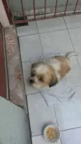 Toby