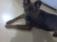 Kika