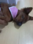 Kika