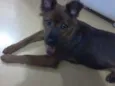 Kika