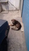 TOBY