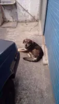 TOBY