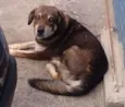 TOBY
