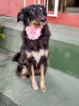 BELINHA