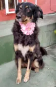 BELINHA