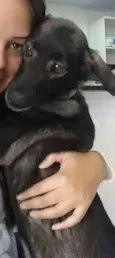 Piti