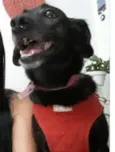 Piti