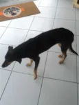 Nega