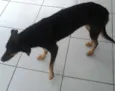 Nega