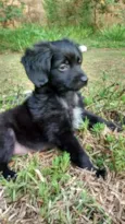 CUCA