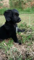 CUCA