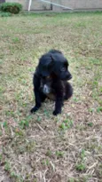 CUCA
