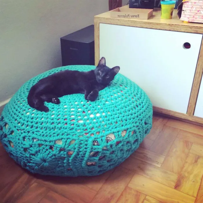 Gato ra a vira idade 2 a 6 meses nome sem nome