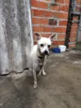 Lola