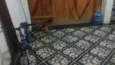 boby