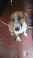 Bidú