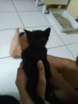 Indefinido