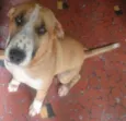 Bidú