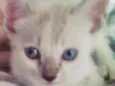 Milly